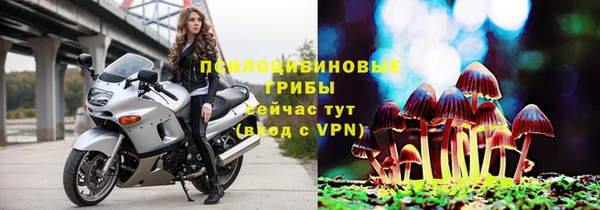 героин Алексин