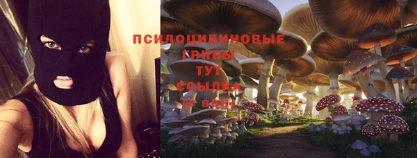 spice Алексеевка