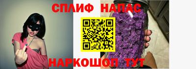 гашик Новозыбков