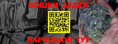 гашик Новозыбков