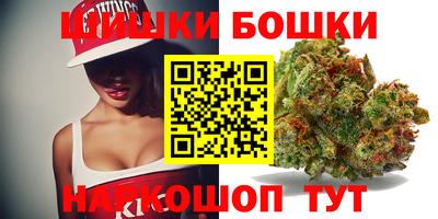 гашик Новозыбков
