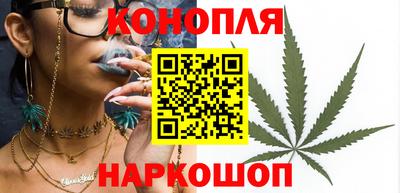 гашик Новозыбков