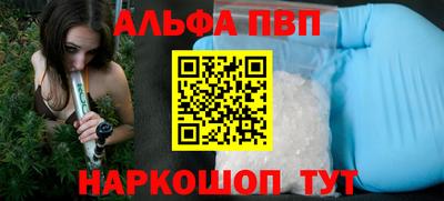 гашик Новозыбков