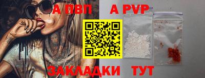 гашик Новозыбков
