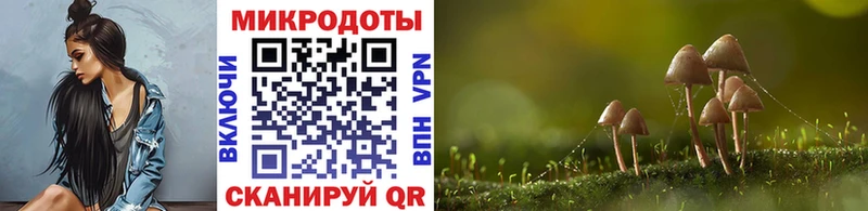 Псилоцибиновые грибы мухоморы  закладки  omg как зайти  Чебоксары 