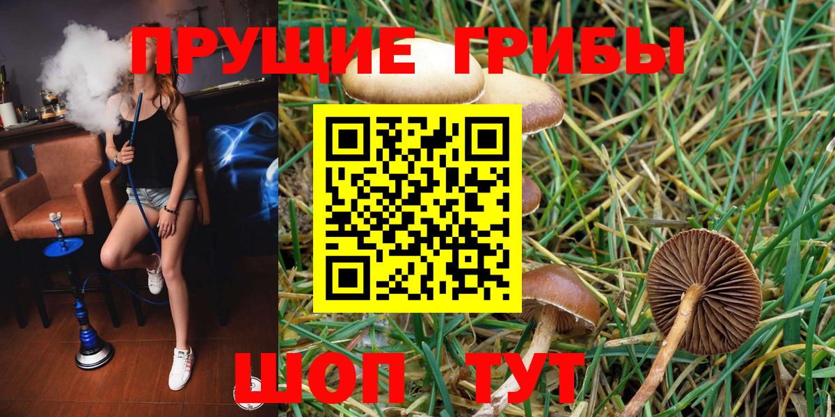 Галлюциногенные грибы прущие грибы  Псилоцибиновые грибы Psilocybe  Вход с VPN  где найти   Чебоксары 